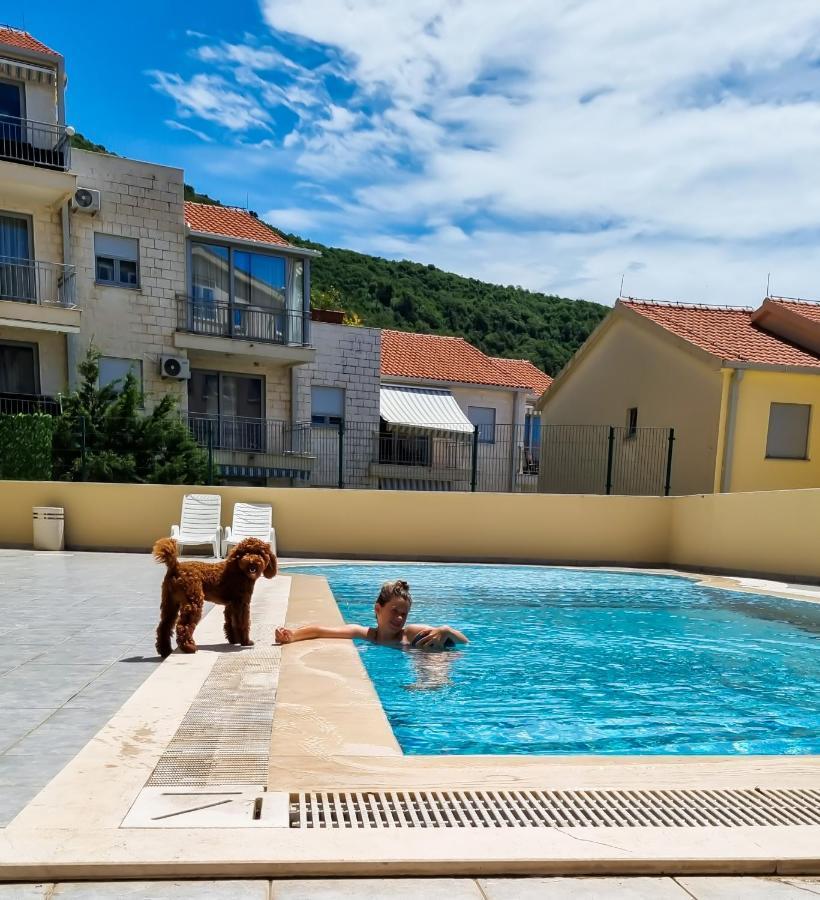 Anja & Ogo Apartments Sea View & Pool Petrovac Ngoại thất bức ảnh