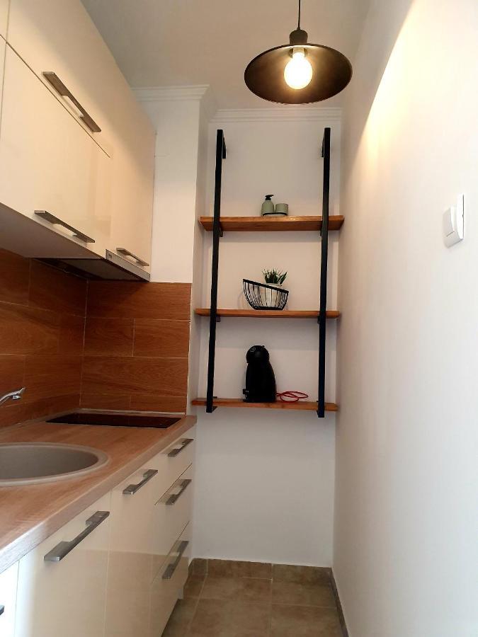 Anja & Ogo Apartments Sea View & Pool Petrovac Ngoại thất bức ảnh